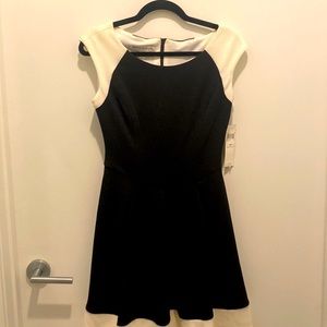 Maggy London Petite Work Dress Black and White Fit and Flare 6P